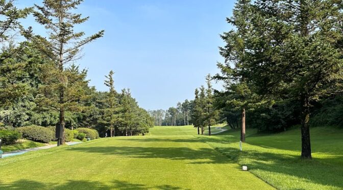 telek takarítás Szentes, telek takaritas szentes