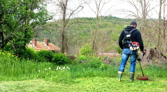 fűkaszálás Szentes, fukaszalas szentes