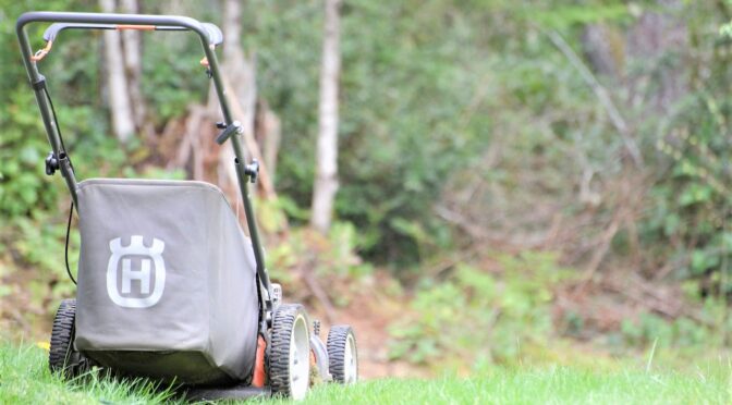 fűnyírás Szentes, funyiras szentes