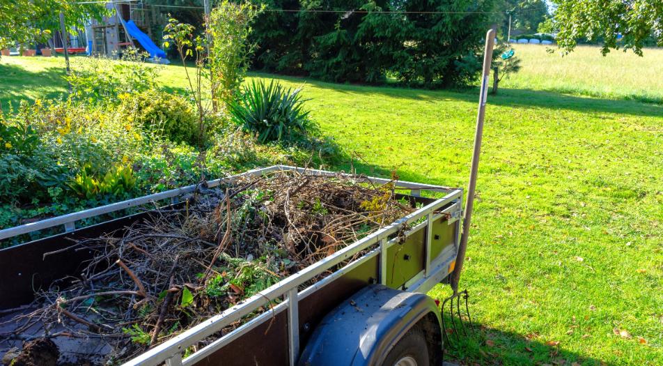 bozótirtás Szentes, bozotirtas szentes